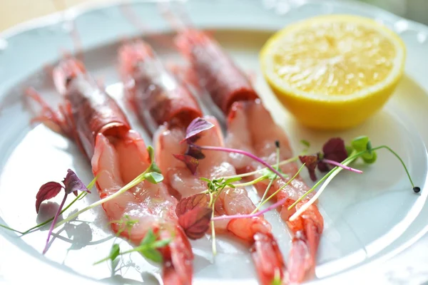 Red prawns carpaccio with lemon — Stock Photo, Image