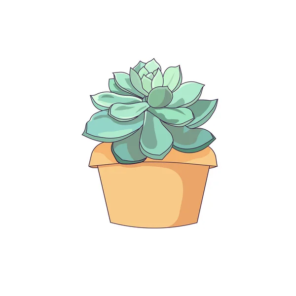 Isolierte Steinrose Cartoon Stil Vector Echeveria Auf Weißem Isoliertem Hintergrund — Stockvektor