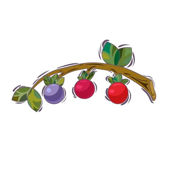 卡通颜色的浆果 白色的独立背景在手杖上 孤立的蓝莓和越橘 多德尔风格的指纹 装饰的元素在食品和饮料 森林和自然领域 — 图库矢量图片