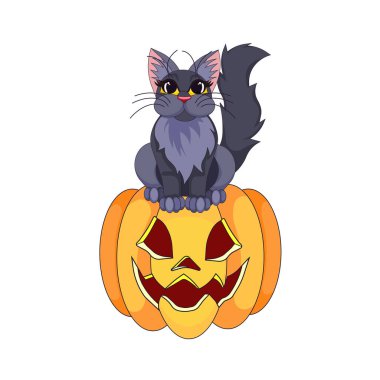Çizgi film tasarım tarzında Jack O 'Lantern' in üzerinde oturan sevimli kedi yavrusu, uzun saçlı siyah kedi, kabağı oyulmuş beyaz arka plan parmak izleri, desenler, kitapçıklar, kartpostallar, ikonlar,.