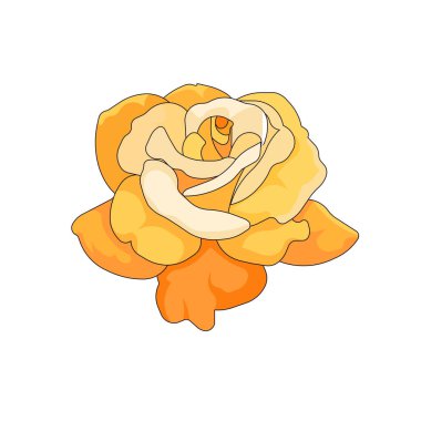 Karikatür tasarım tarzında sarı yapraklı izole gül, beyaz arka planda çiçek açan vektör çiçek açan bahçe gülü parmak izleri, çıkartmalar, kartpostallar, dövme, sosyal medya simgeleri, uygulamalar, web siteleri.