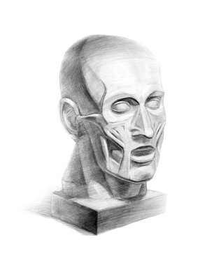 Gudon 'un ekorku, insan kafası. Isometry. Akademik kalem çizimi. Eski bir çizim..