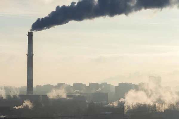 Kalter Wintersonnenaufgang Mit Bedecktem Himmel Dampf Über Den Silhouetten Von Stockbild