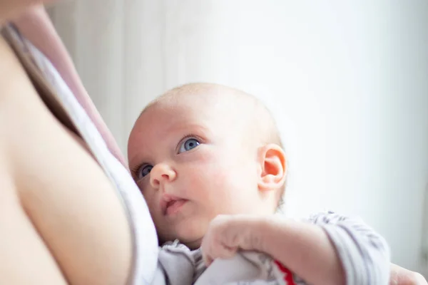 Ein Neugeborenes Ohne Haare Und Blaue Augen Liegt Den Armen lizenzfreie Stockfotos