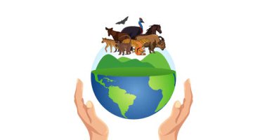 Hayvanat bahçesi aşıkları günü hareket videosu. Hayvanat bahçesi aşıkları günü kutlaması için ideal.