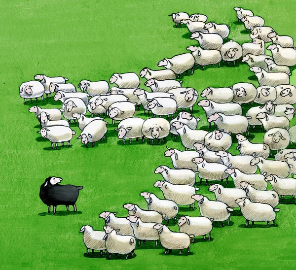 Černá ovce ve stádu — Stock fotografie