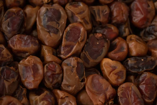 Braune Dattelfrucht Nahtlose Musterfrucht — Stockfoto