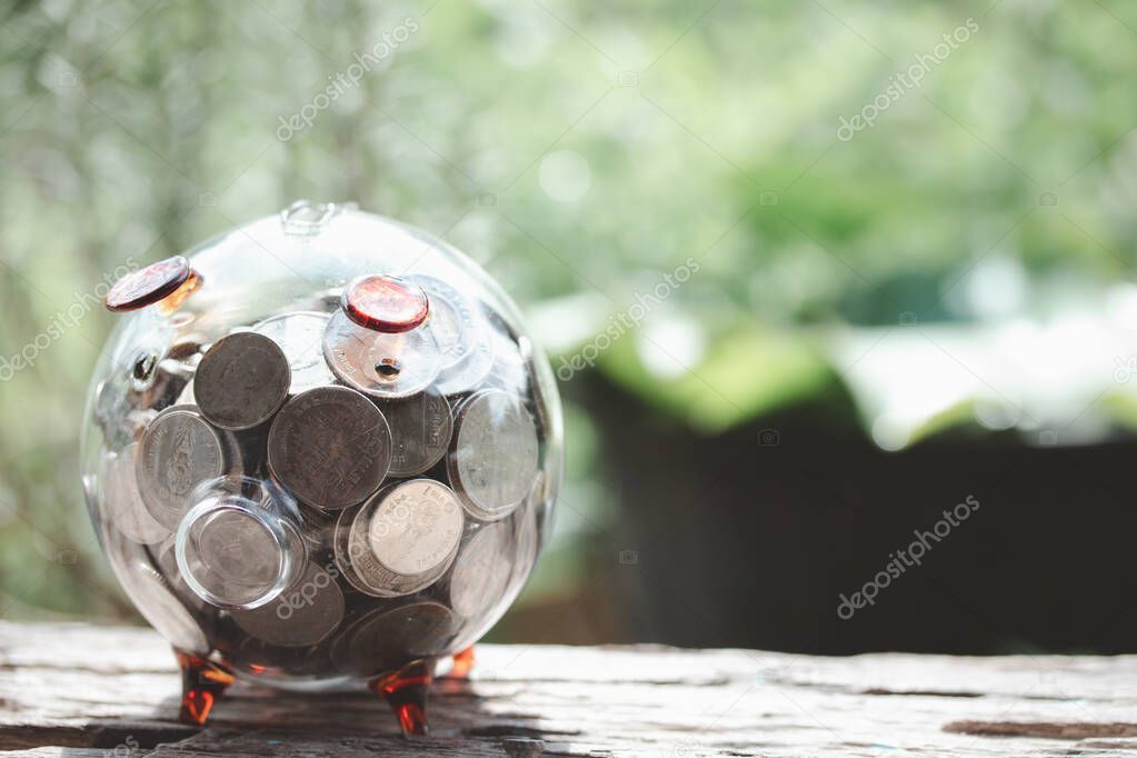 Clear glass pig piggy bank with silver coin on the back of nature
