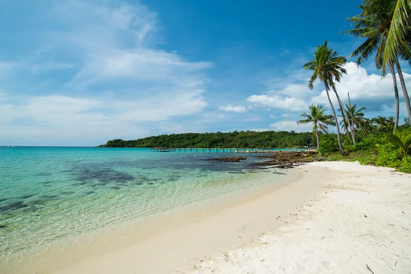 Güzel plaj ve palmiye ağaçları Kood Island, Tayland