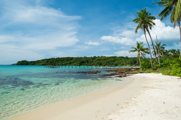 Güzel plaj ve palmiye ağaçları Kood Island, Tayland