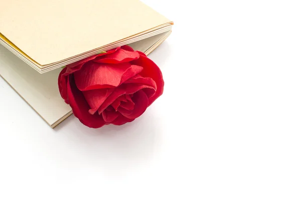 beyaz zemin üzerine kırmızı gül kapalı bir defter