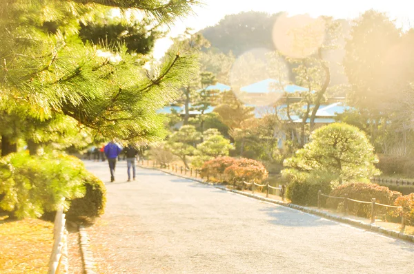 Japon Bahçesi