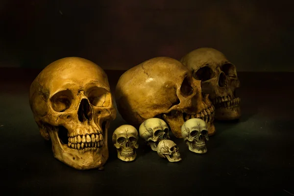 Natürmort resim fotoğrafçılık insan kafatasları ile