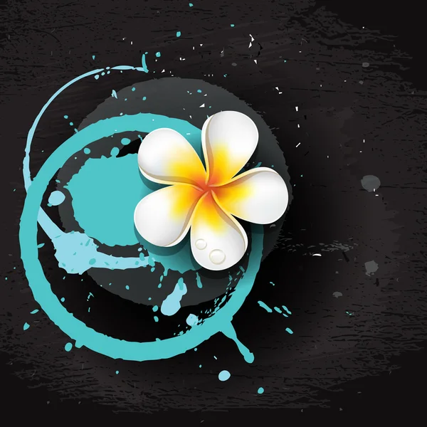 Pared grunge con frangipani — Vector de stock