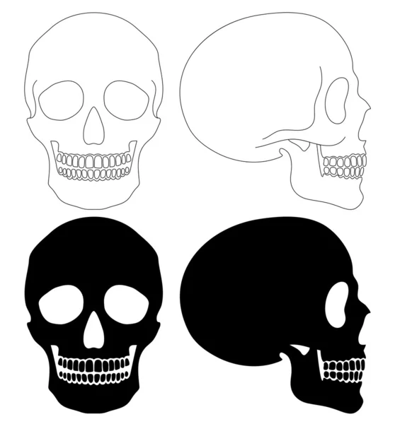 Set cranio — Vettoriale Stock