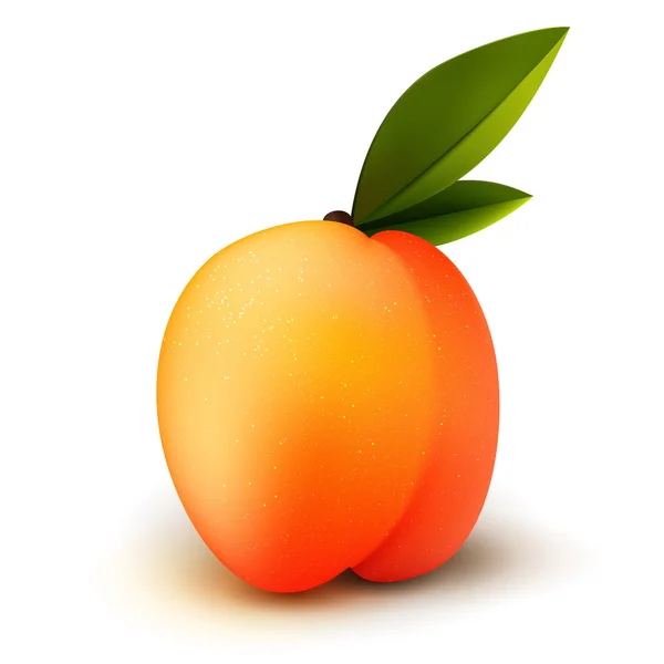 Rijp perzik fruit — Stockvector