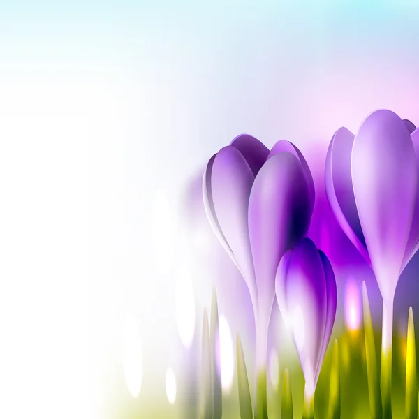 Crocuses brillantes fondo de primavera — Vector de stock