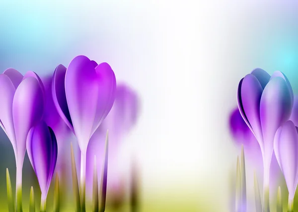 Våren krokusar blommor bakgrund — Stock vektor