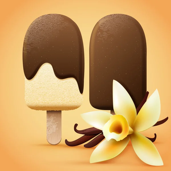 Chocolate ice cream with vanilla flavour — Stock Vector