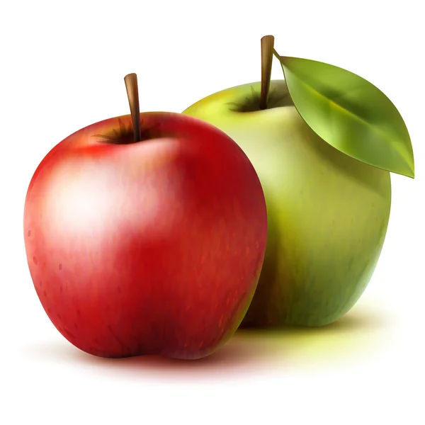 Dos manzanas realistas — Vector de stock