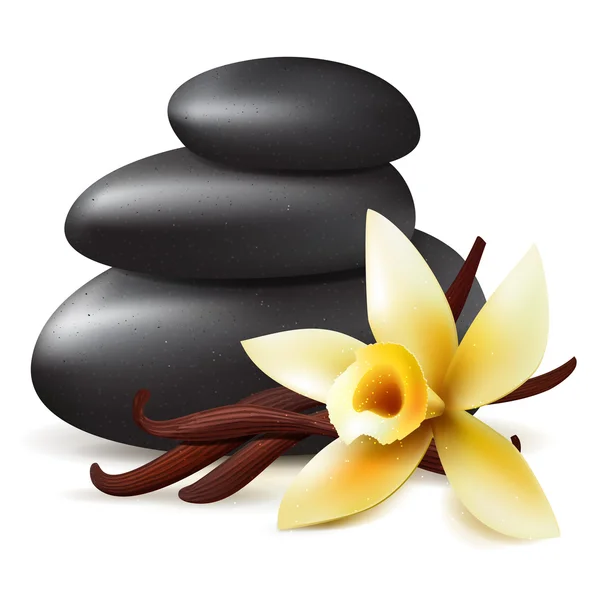 Aromaterapia Spa piedras negras y flores — Vector de stock