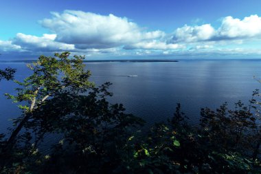 Açık bir günde yeşil ağaçların arasından geçen nehir.