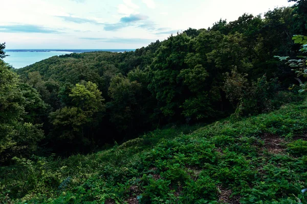 Blick Auf Den Fluss Und Die Grünen Hügel — Stockfoto