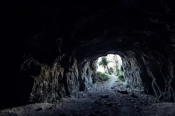 Exit Cave Forest — Stock Photo, Image