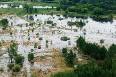 Yol ve çalılarla dolu sel basmış bir arazi.
