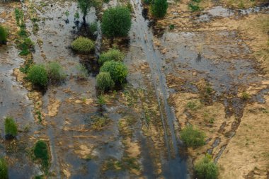 Yol ve çalılarla dolu sel basmış bir arazi.