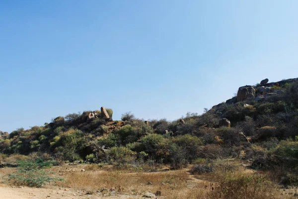 Çimenli, ağaçlı ve gökyüzü olan dağlar