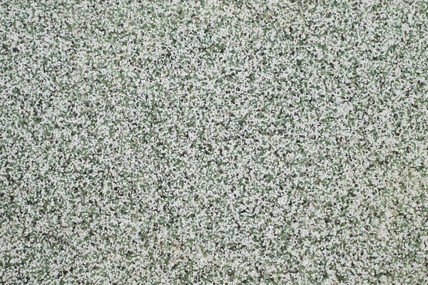 Textuur Van Groen Decoratief Gips — Stockfoto