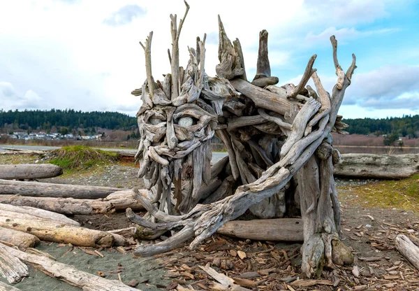 Arte Troncos Costeiros Esquimalt Lagoon Vancouver Island Canadá Fotos De Bancos De Imagens