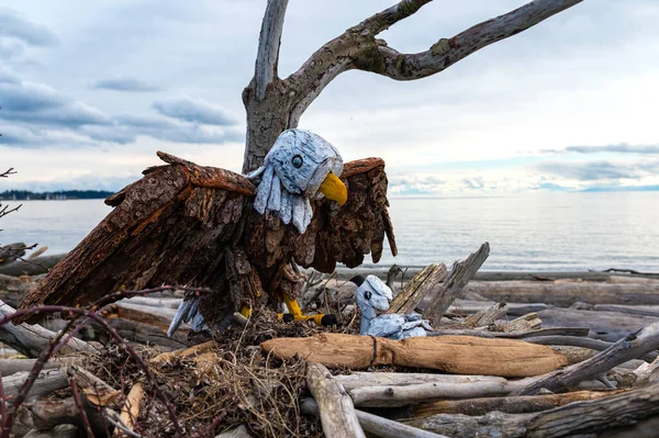 Coastal Driftwood Art Esquimalt Lagoon Vancouver Island Canada Stock Obrázky