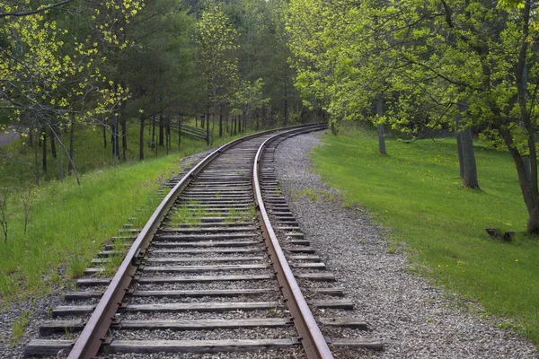 Train tracks in the woods — Stock Photo, Image