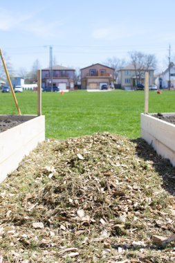 Kentsel topluluk bahçe