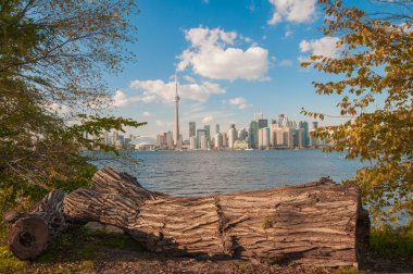 Mevsim sonbahar ağaçları ile Toronto manzarası