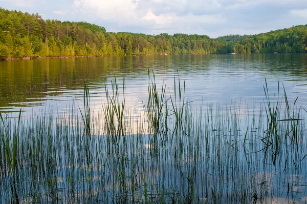 Paesaggio del lago al tramonto — Foto Stock