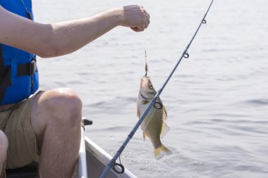 Balıkçı taze catch, Erie Gölü ile