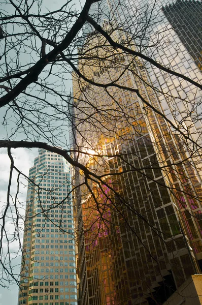 Paesaggio urbano con skycrapers nel centro di Toronto — Foto Stock