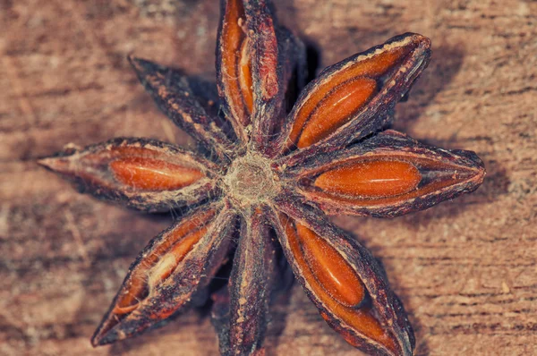 Sternanis-Makro — Stockfoto