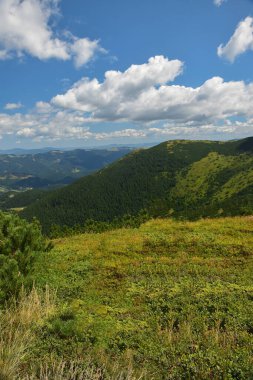 Arka planda çimlerle kaplı dağdan manzara bulutlu mavi gökyüzü