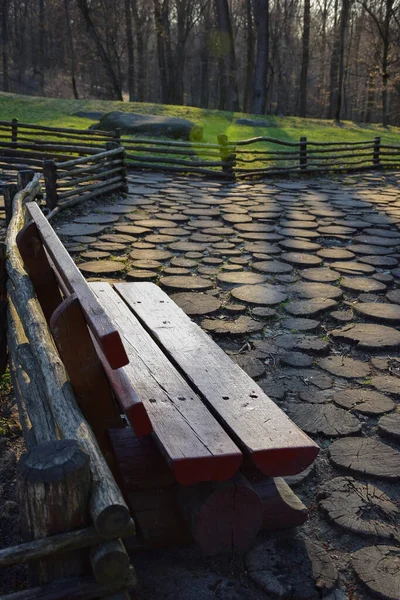 Panca Legno Intagliato Parco Fatta Tronchi Spessi Una Foresta Estiva — Foto Stock