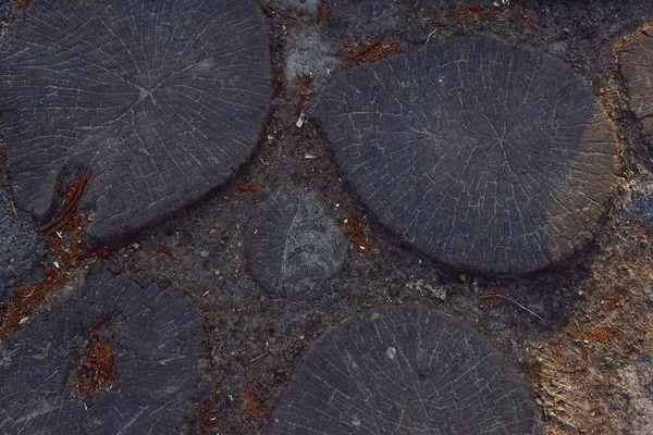 Pavimento de madeira feito de troncos de madeira serrados redondos escavados no chão — Fotografia de Stock