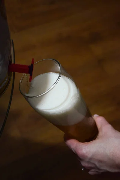 Пенное пиво наливают из бочки с пивом в стеклянный бокал. — стоковое фото