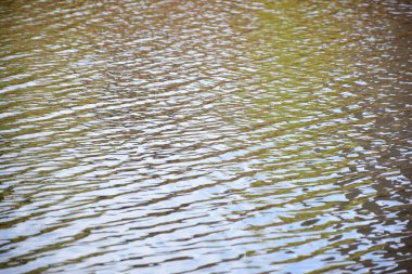 Bir gölün ya da nehrin su yüzeyinde tüm çerçeve boyunca hafif dalgalanmalar var.