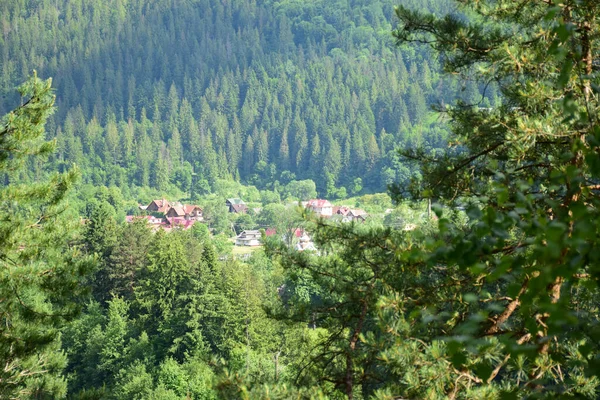Ver beneden, onder de berg, ligt een klein dorpje omgeven door een zomers groen bos. Gefotografeerd door gebladerte met wazig voorgrond — Stockfoto