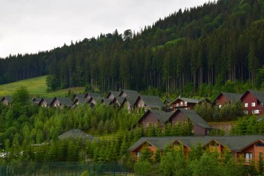 Yaz dağının altında yeşil çatılı evler var. Yamaçlar ağaçlarla kaplı.