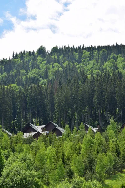 Κάτω από το καλοκαιρινό βουνό υπάρχουν σειρές από σπίτια με πράσινες στέγες. Οι πλαγιές είναι κατάφυτες με δέντρα — Φωτογραφία Αρχείου