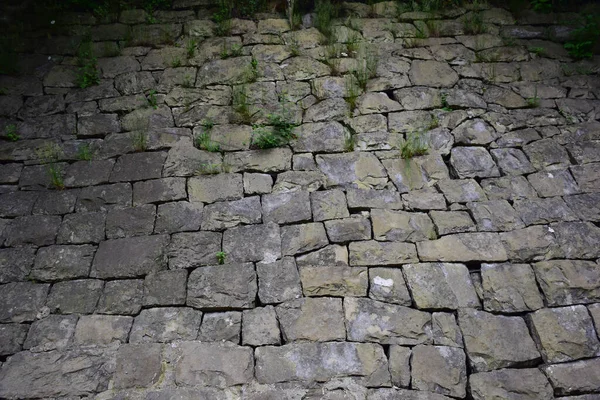 Old Pavement Lined Cobblestones Various Sizes Shapes Which Grass Sprouts — Fotografia de Stock